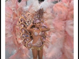 Carnaval de Mula 2014